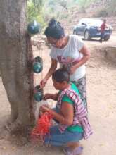 Community members starting a hanging garden