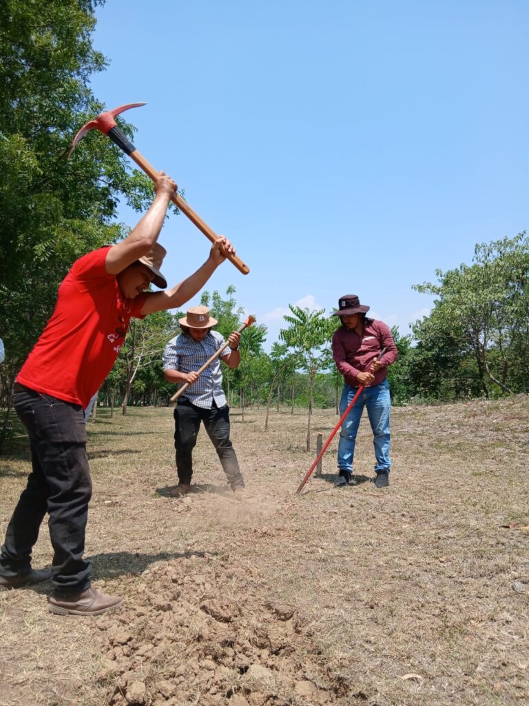Teachers practicing how to create a garden