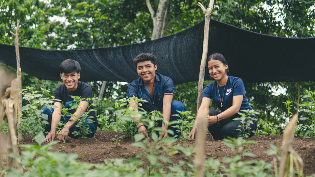 Student Participation