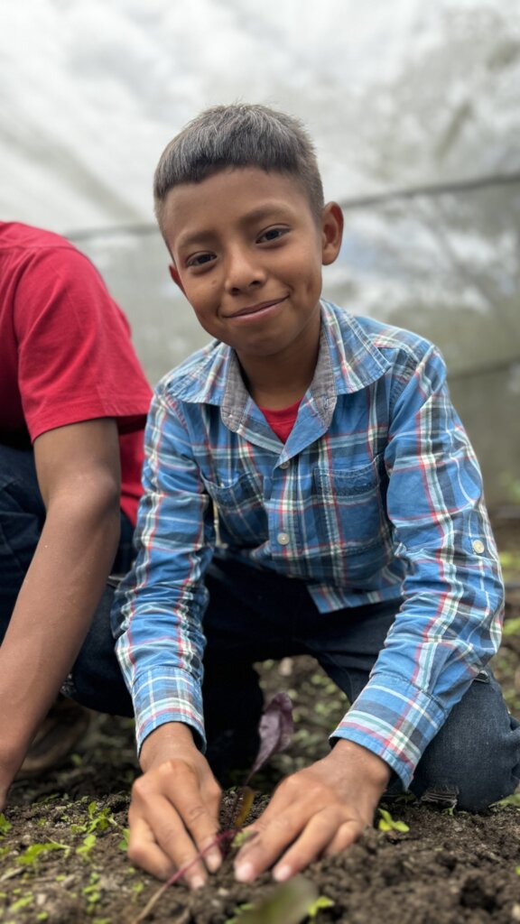 School Gardens as Learning Labs