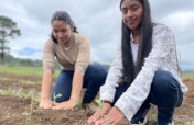 Plant school gardens at 5 Honduran schools