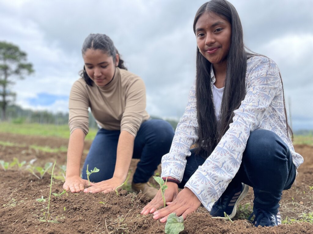 Plant school gardens at 5 Honduran schools