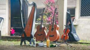 Musical Instruments
