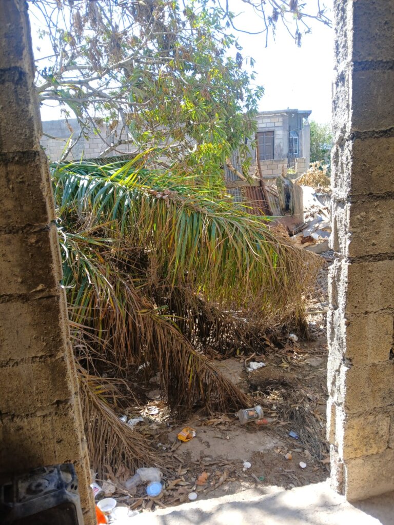 One Caribbean, One Cause Aiding Jamaica's Plight!