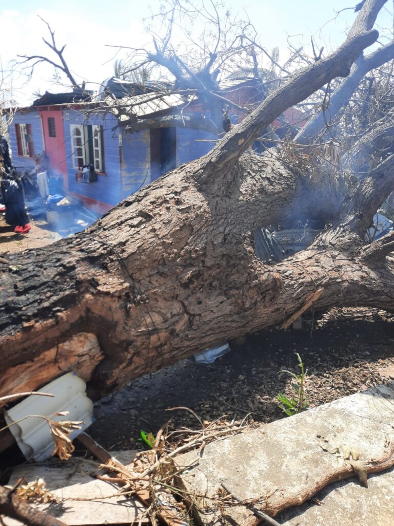 One Caribbean, One Cause Aiding Jamaica's Plight!