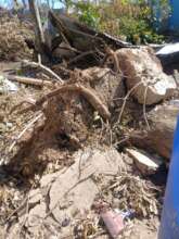 Outside Mavis Griffith's House