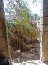 Mavis's Home Entrance and Roof Destroyed