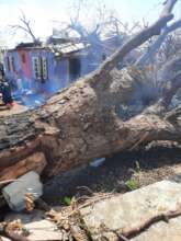 Brian Wedderburn's Community