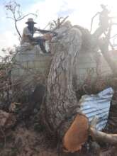 One Caribbean, One Cause Aiding Jamaica's Plight!