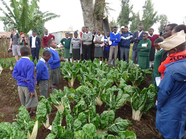 Empower Generation Green For Climate Initiatives