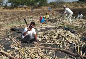 Empower Generation Green For Climate Initiatives