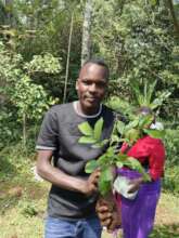 Victor with avocado tree seedling