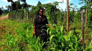 Together we can tackle climate crisis