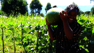 Together we can build resilience and save lives