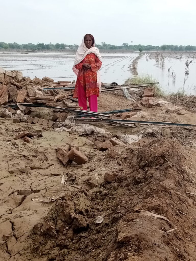 "Homes That Hold:JalalPur,Pakistan Flood Recovery"