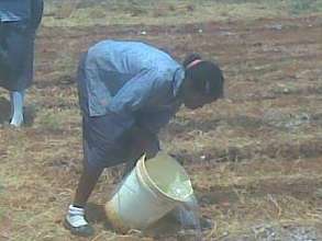 Learning to grow Vegetables at School