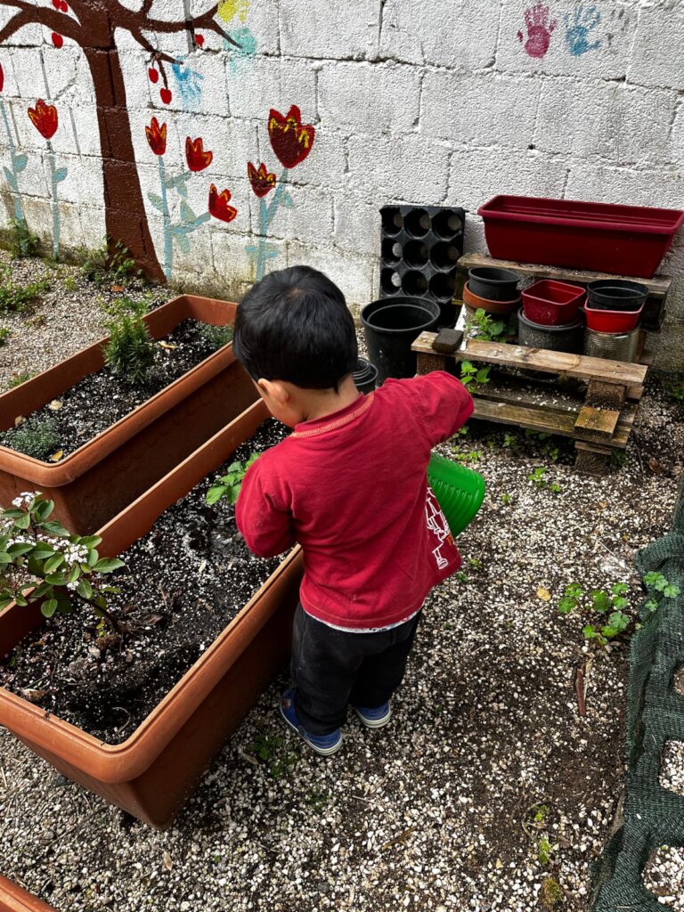 BAAS Community Centre - Christmas Calendars