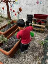 BAAS Community Centre - Christmas Calendars