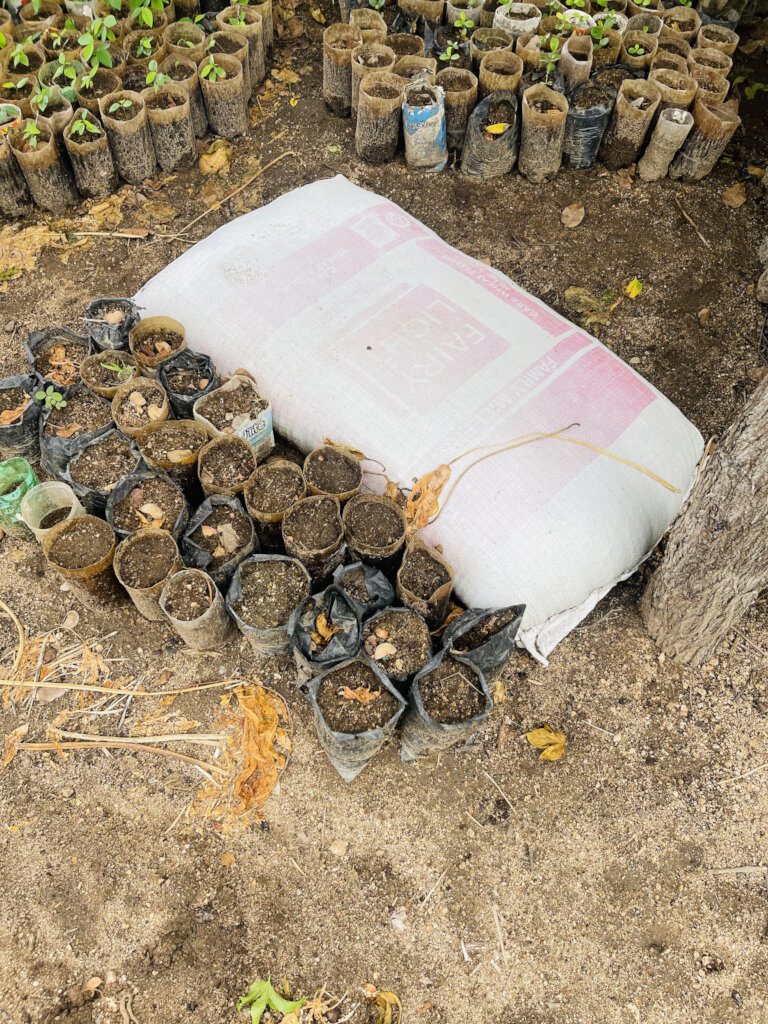 50 clean energy and agroforestry farms