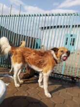 Rema having a bath after weeks of water shortages!