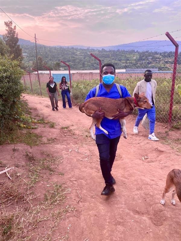 The WAG Centre Build Campaign