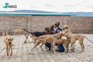 The WAG Centre Build Campaign