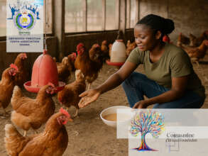 Empowered Hands Feed Communities