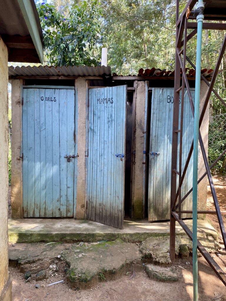 Existing pit toilets