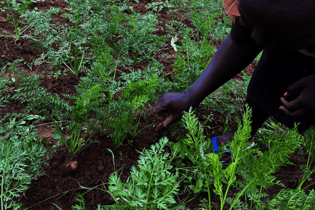 8 Essential Eco Toilets For Kenya Children's Home