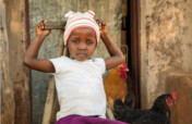Chickens & Rabbits for a Kenyan Children's Home