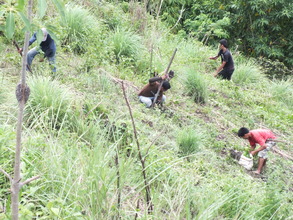 Youth planting trees