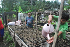 Proponent (in green) in the nursery