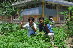 Vegetable gardening as source of income and food