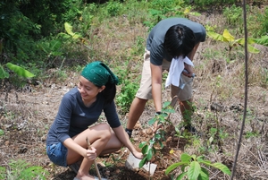 Youth doing tree planting activity