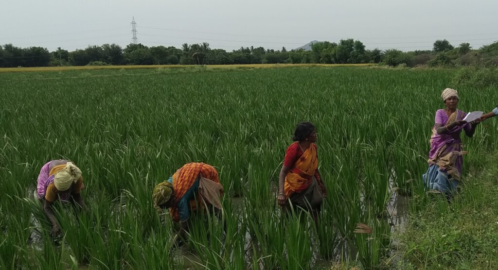 Empower WOMEN FARMERS in rural & tribal community