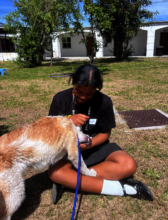Time out with the dogs