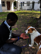 Learning to trust