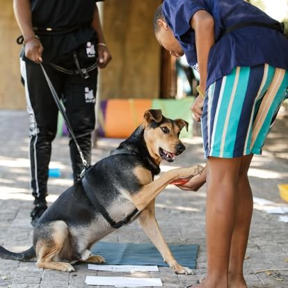 Paws & Potential: Healing Shelter Dogs & Youth