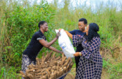 Feed Thousands of Households this Festive Season