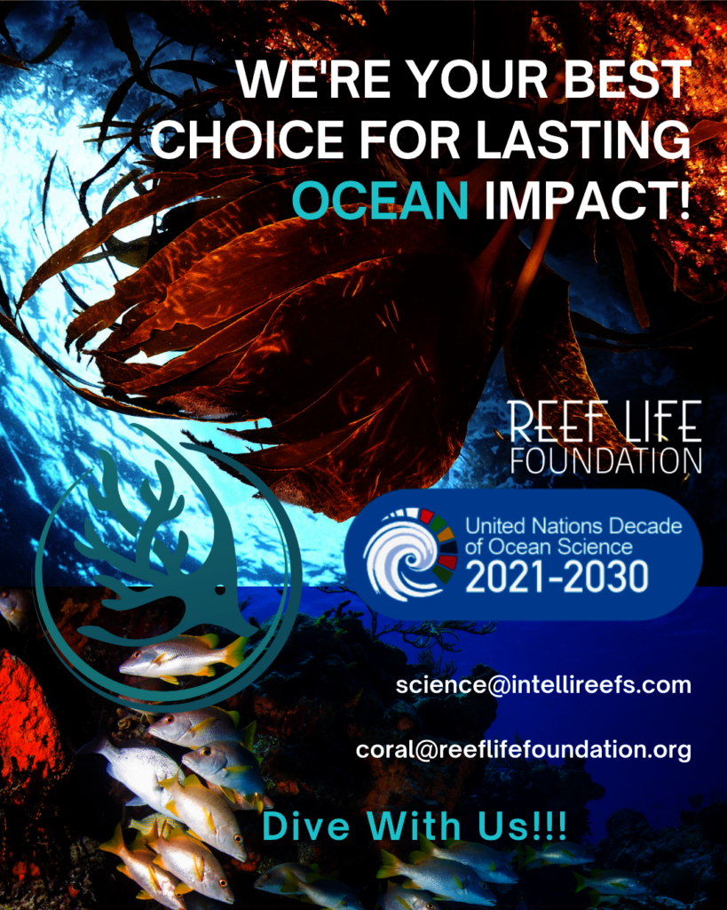 Blue Ocean Brain Trust Women in Ocean Science