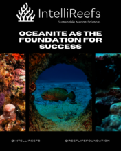 Coral and Ocean Habitat Success