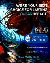 Blue Planet Benefits with Reef Life