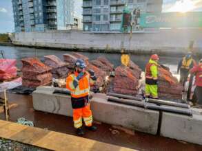 Kelp and Fish Coastal Wave Breaks from Reef Life