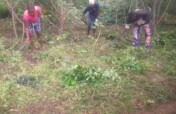 Eliminate hunger through youth farming