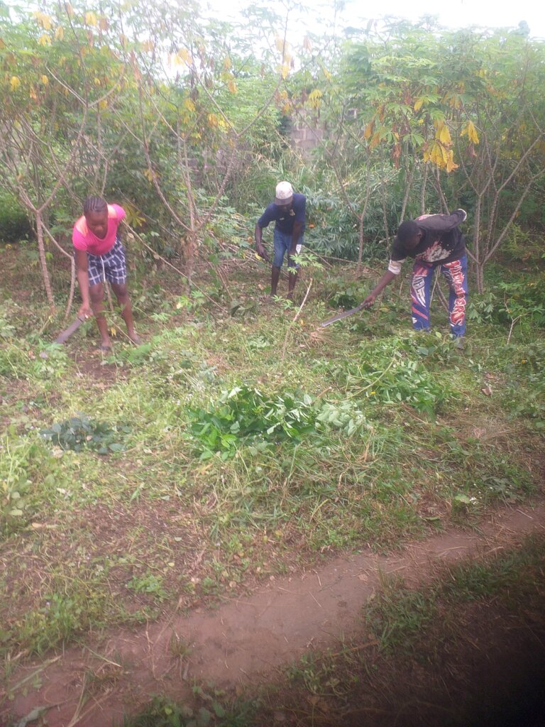 Eliminate hunger through youth farming