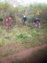 Eliminate hunger through youth farming
