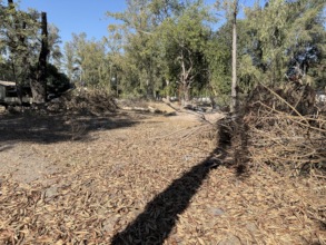 Another view of site being cleared