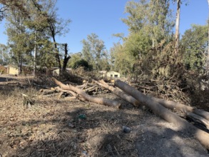 Building Site Clearance Begun