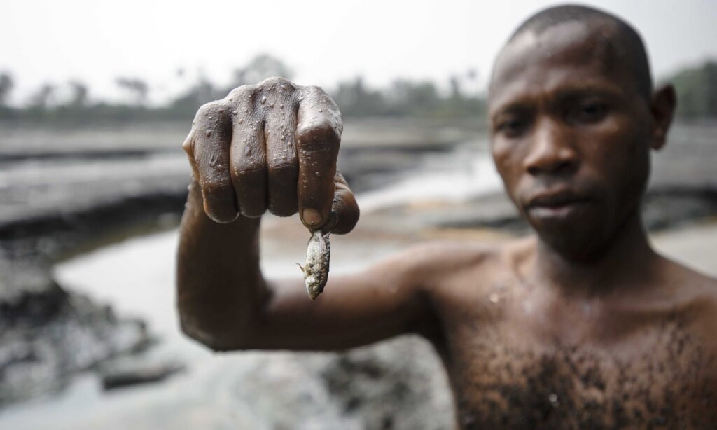 Advocate for Environmental Justice in Niger Delta