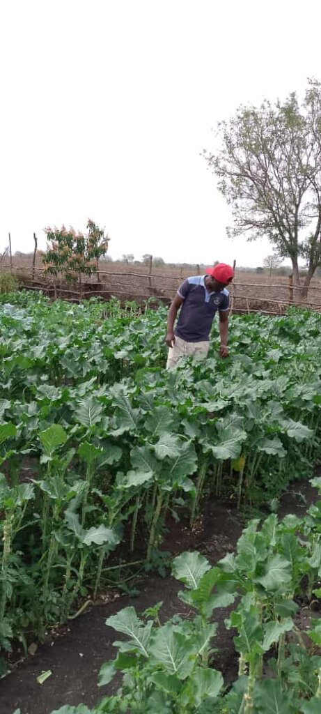 Buy Seeds to Feed A Family in Mozambique